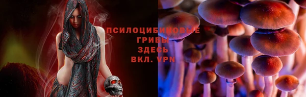 МДМА Верея